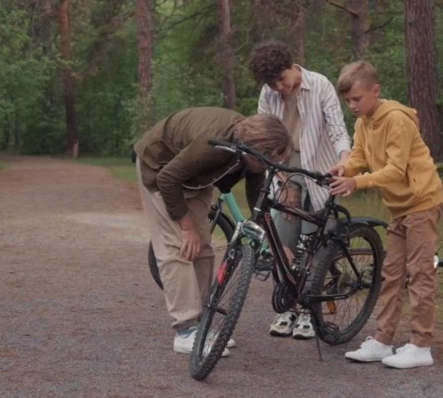 Bicicletas